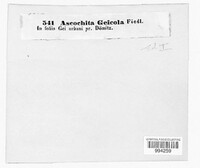 Image Associated With the Occurence